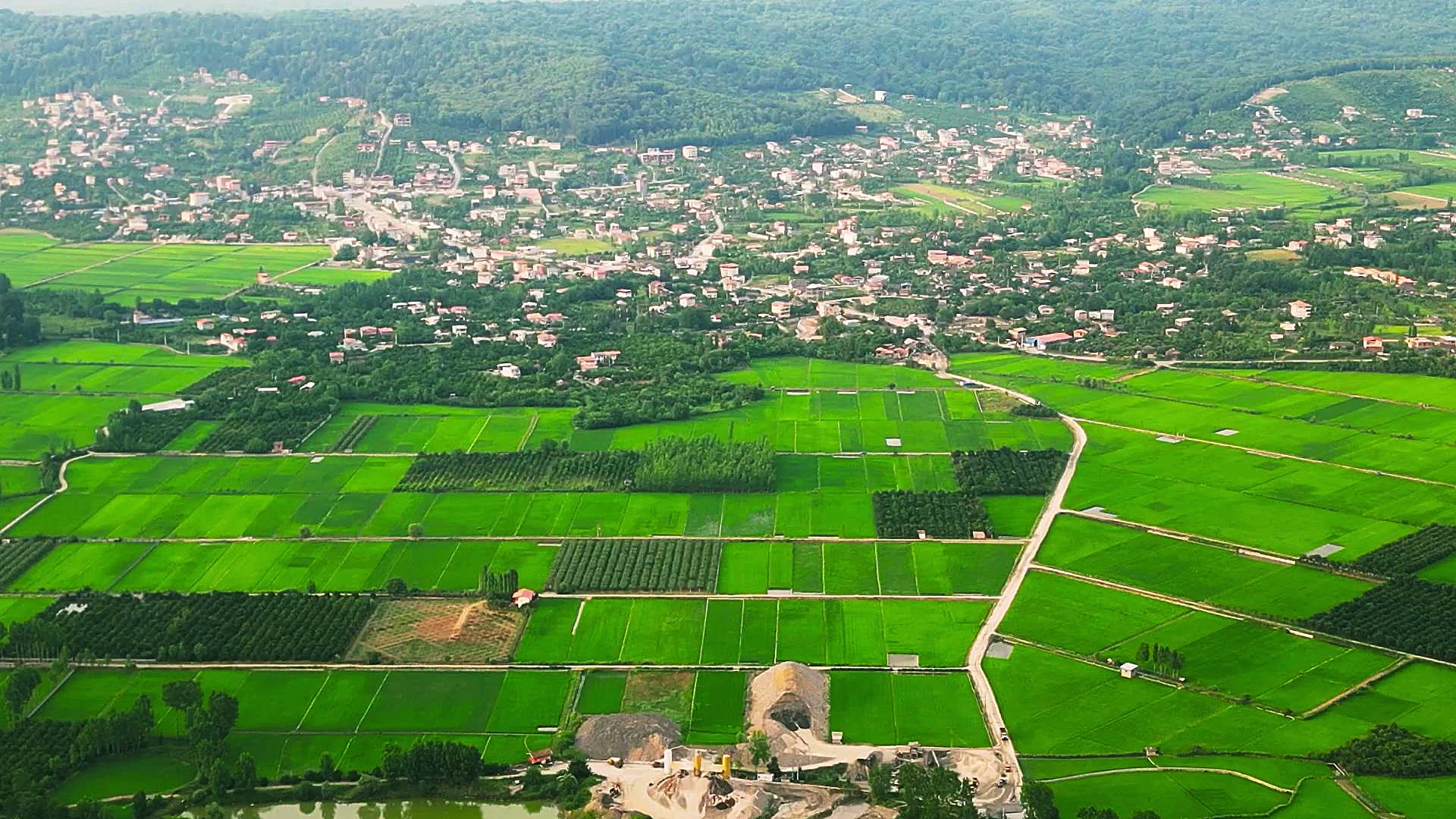 زمین سبز