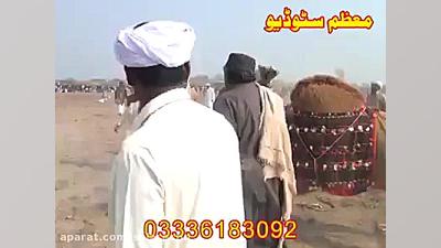کلیپ بسیار مهیج جنگ دو شتر بین...