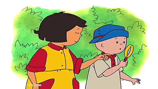 Funny Animated cartoon | Caill...