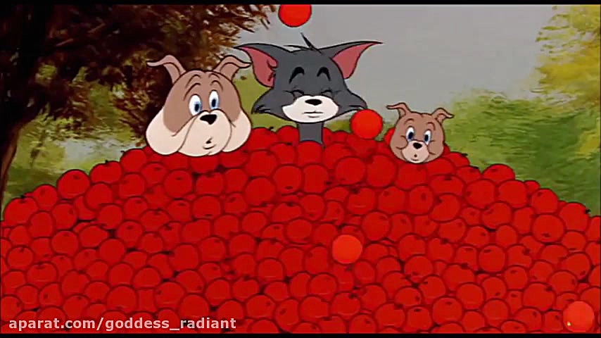 تام و جری  قسمت ۹۱