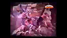 برزخی ها  فردین ایرج قادری سعی...