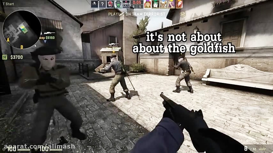 Random CS:GO Bullshittery part 5