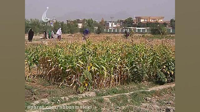 کمبود آب و مصون نبودن محیط کار...