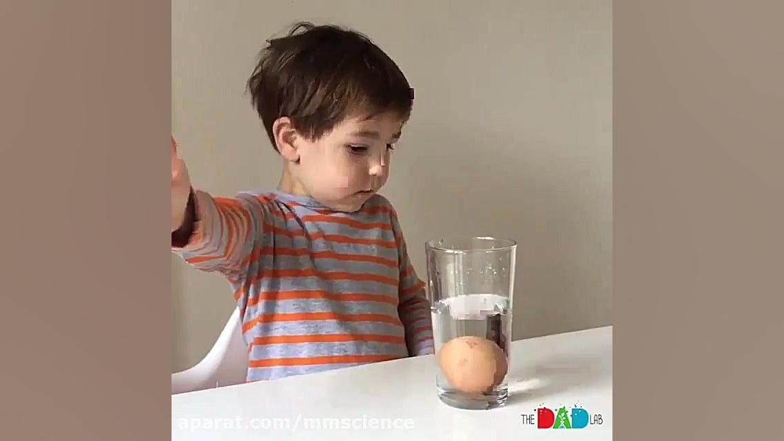 قانون اول نیوتون ( لختی )