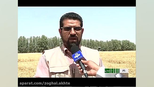محصولات كشاورزی ریگ چاه زاهدان...