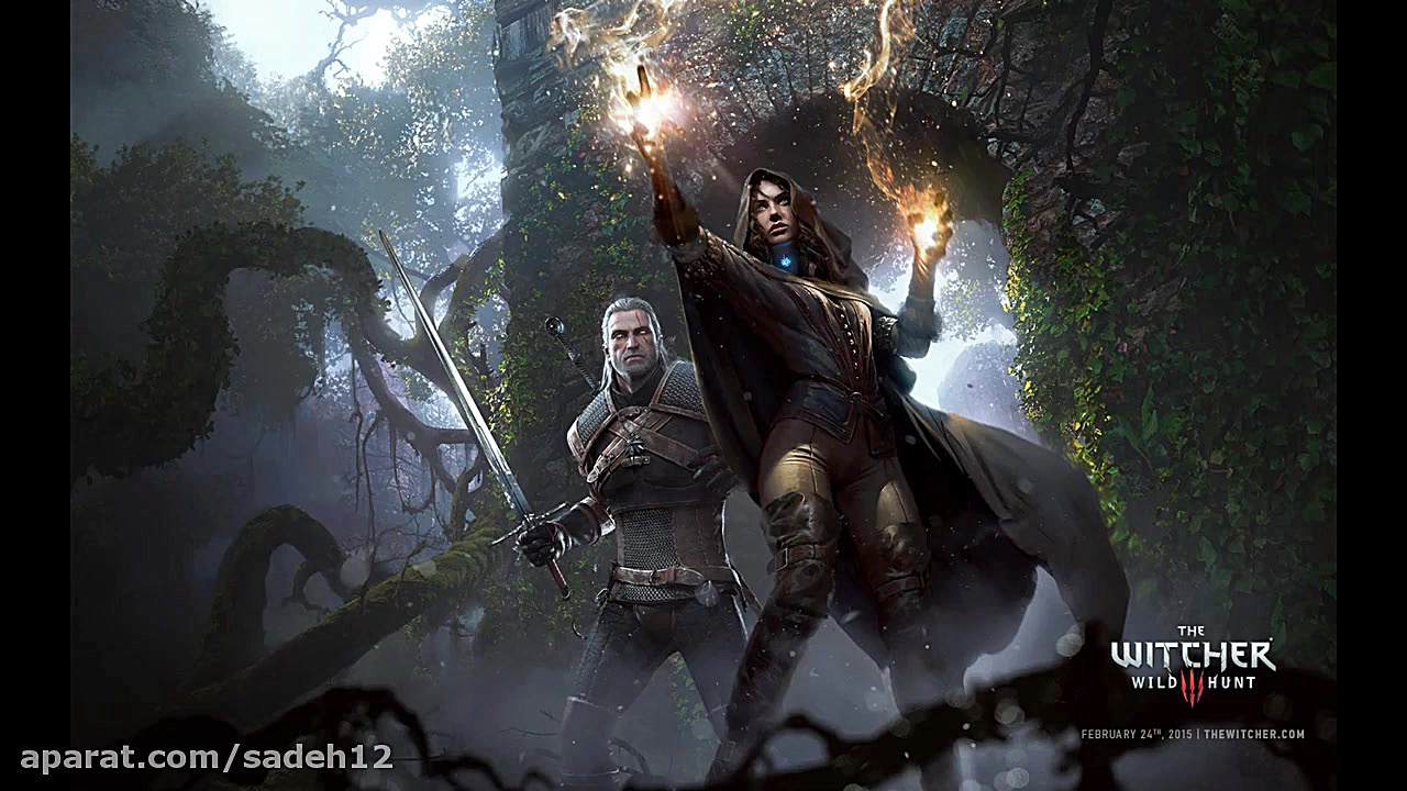 the witcher 3 2017