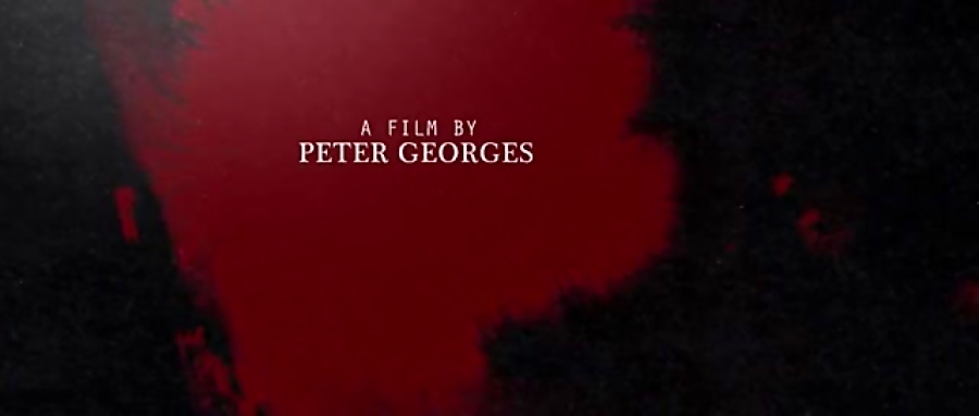 فیلم هارلی کویین