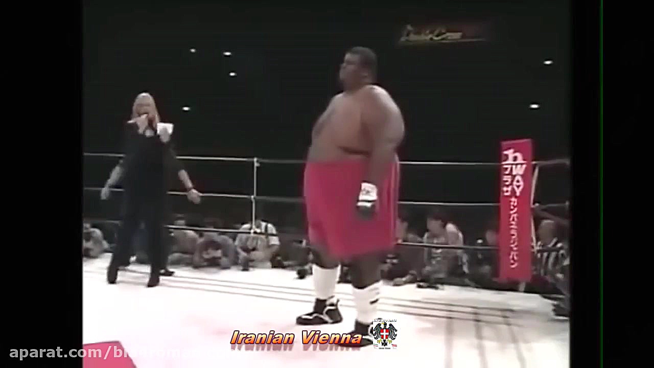 مبارزه دیدنی بین فیل و فنجون