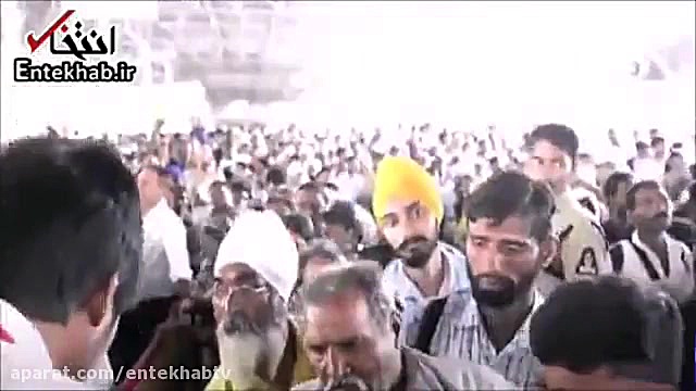 فیلم خوردن ماهی زنده؛ شیوه درم...