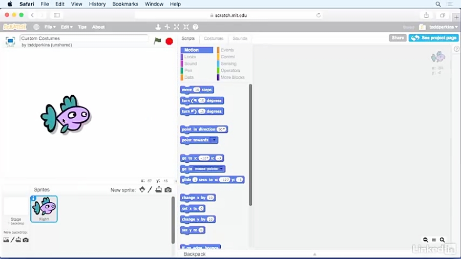 scratch 20