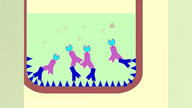 Enzyme Linked Immunosorbent As...