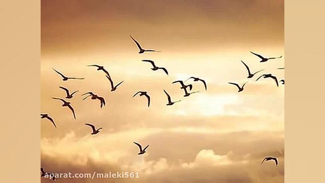 سوگند نامه ی پزشکی