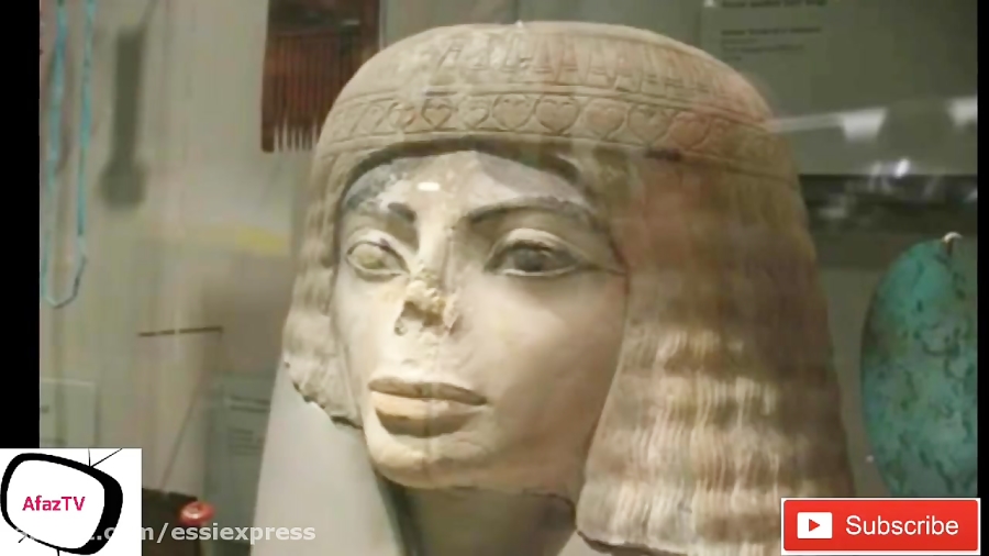 ۱۰ تا از حقایق جالب درباره مای...