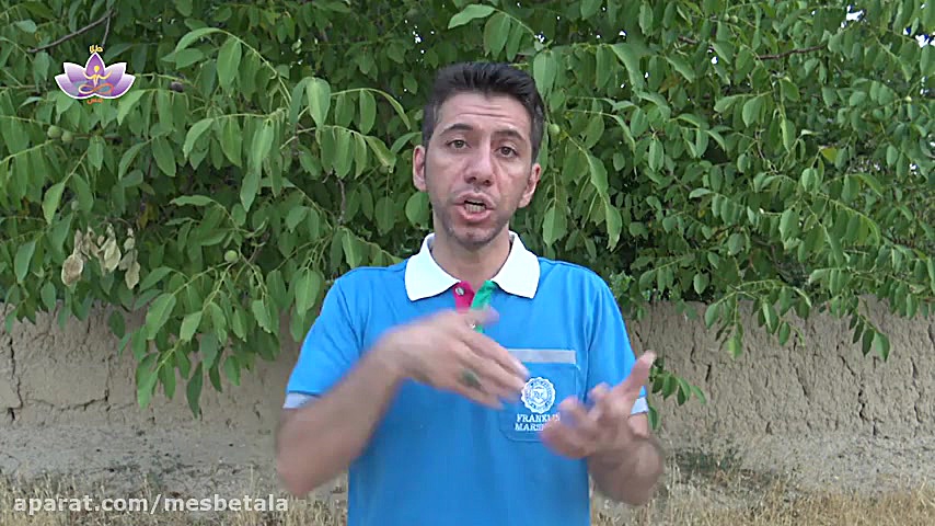 خوراک به شهوت