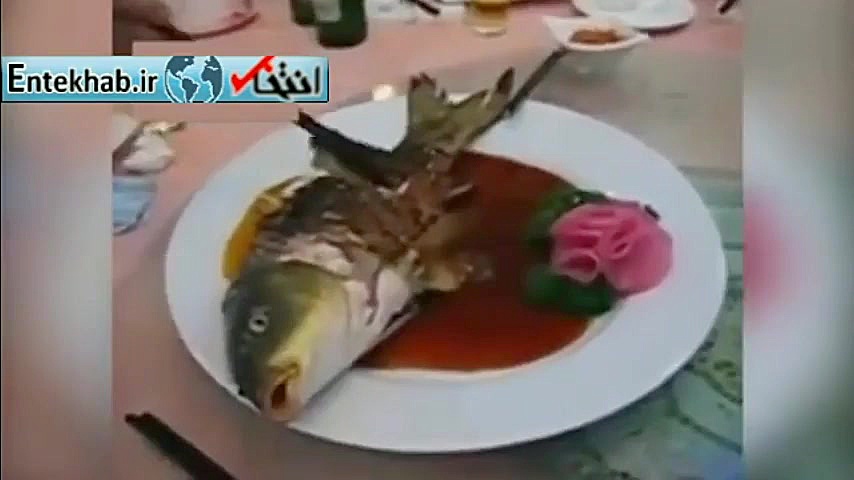 فیلم خوردن ماهی زنده توسط چینی...