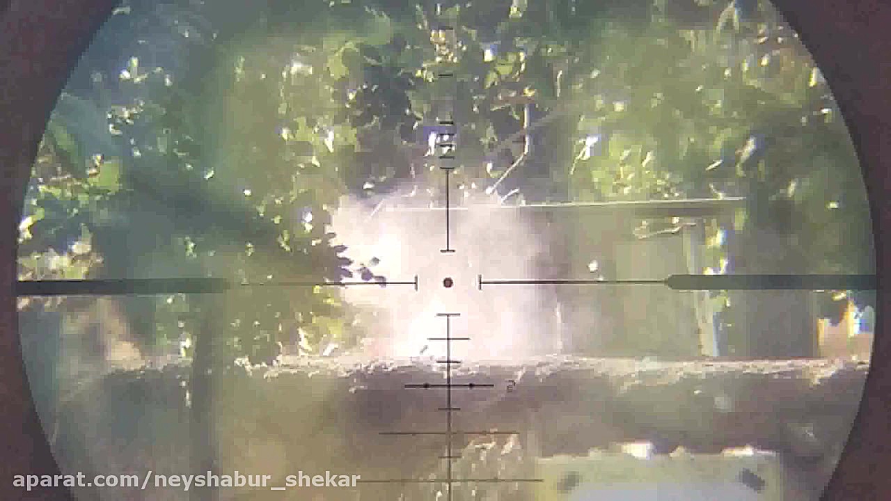 هدف زنی با سلاح pcp پانچر