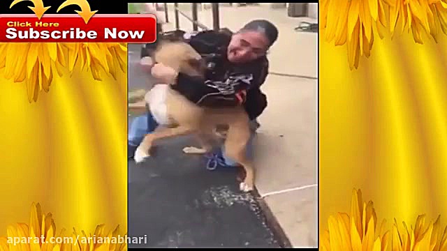 گریه شادی سگ تا به حال دیدی ؟