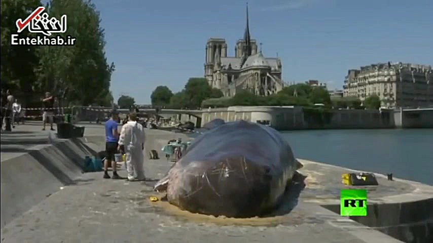 فیلم مجسمه یک نهنگ در کنار رود...