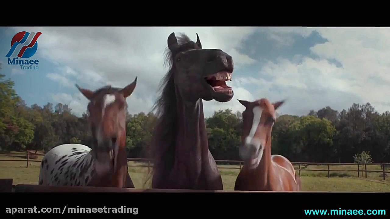 فولکس واگن تیگوان بخرید تا اسب...