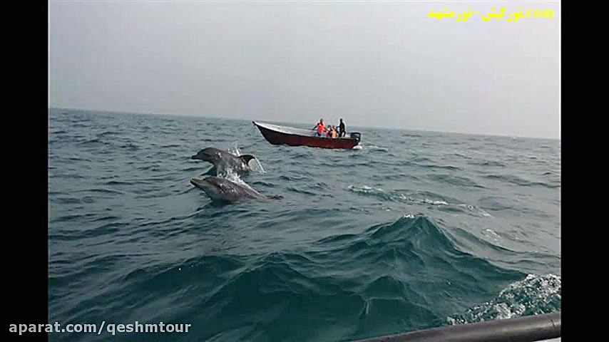 جزیره زیبای هنگام در جنوب جزیر...