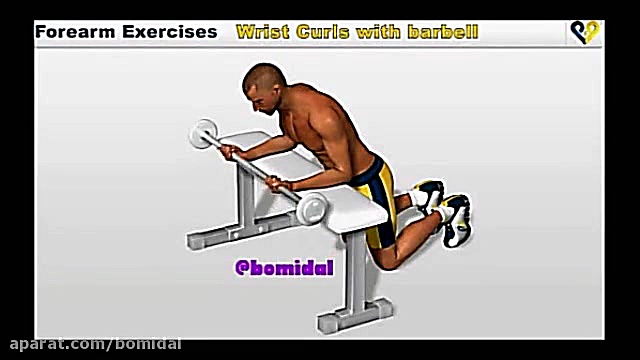 حرکت صحیح عضلات ساعد با هالتر...