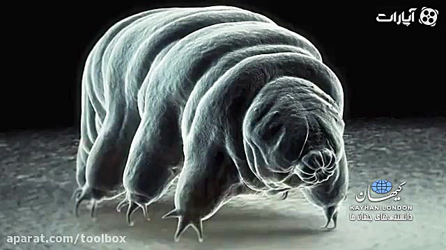 هیولای جان سخت سیاره زمین!