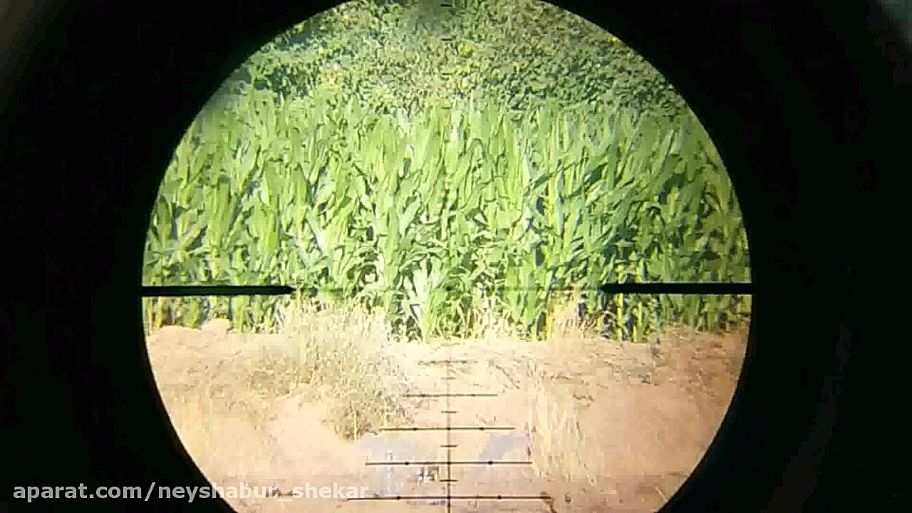 هدف زنی با سلاح pcp پانچر