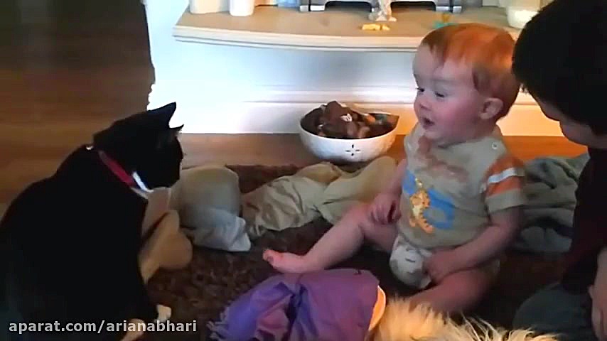 برنامه دورهمی خنده دار ورژن خر...