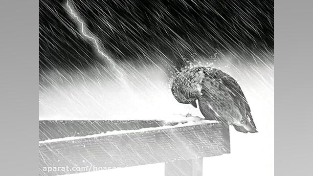 ترانه ای بسیار زیبا کمیاب و قد...