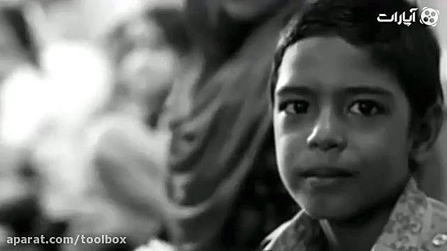 تلاش سگ از جلوگیری و تنبیه یک...