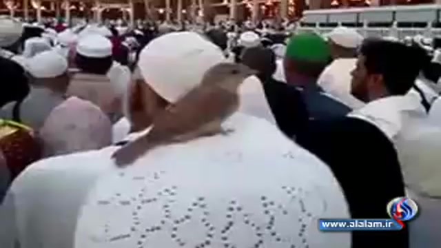 نشستن گنجشک بالای سر یک حاجی ه...