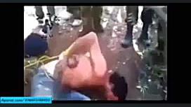 تفاوت حیوانات با داعشی ها بسیا...