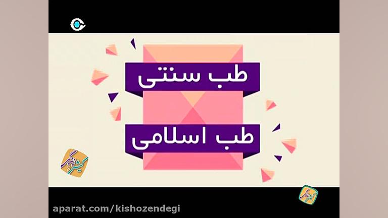 کیش و زندگی  موشن گرافیک  چاقی...