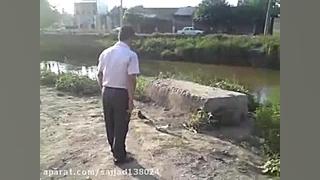 کفتر باز به این میگن