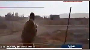 شهید حججی