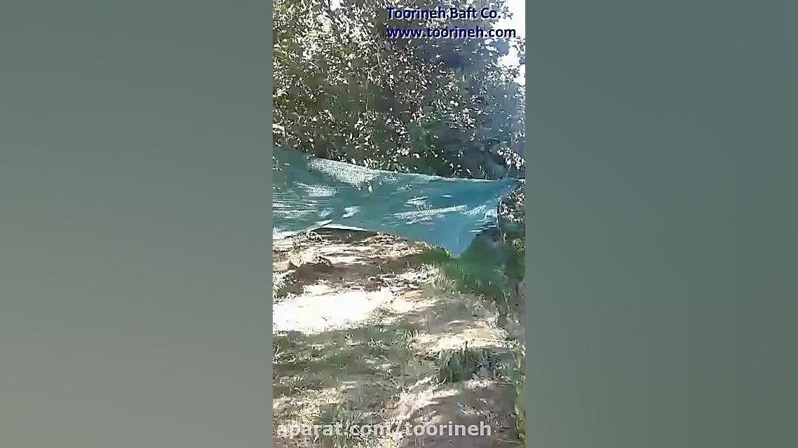 توری جمع آوری محصول (توت) محصو...