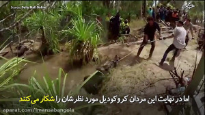 شکار کروکودیل که دو ساعت را در...