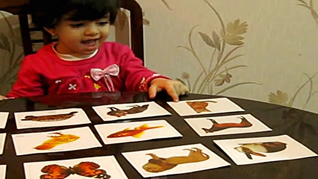 نازنین زهرا