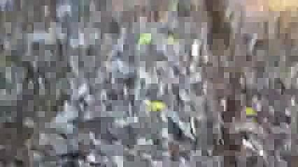 ترقه کاتیوشا