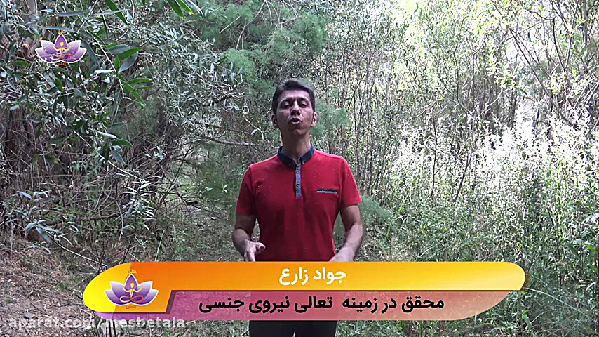 خودارضایی و ضعف حافظه