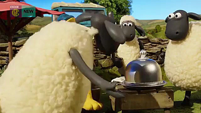 بره ناقلا (تنبیه قیفی)