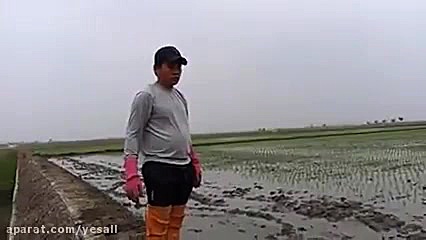 استفاده ماشینهای مدرن در کشت ب...