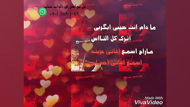 حسام الرسام حبیبی