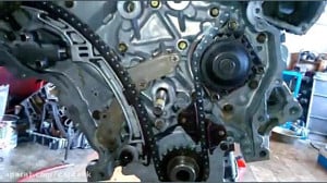 تایم گیری ماکسیما