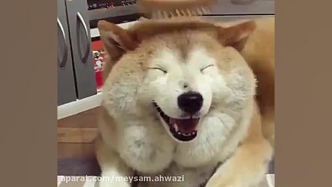 کلیپ خیلی خنده دار و جالب و با...