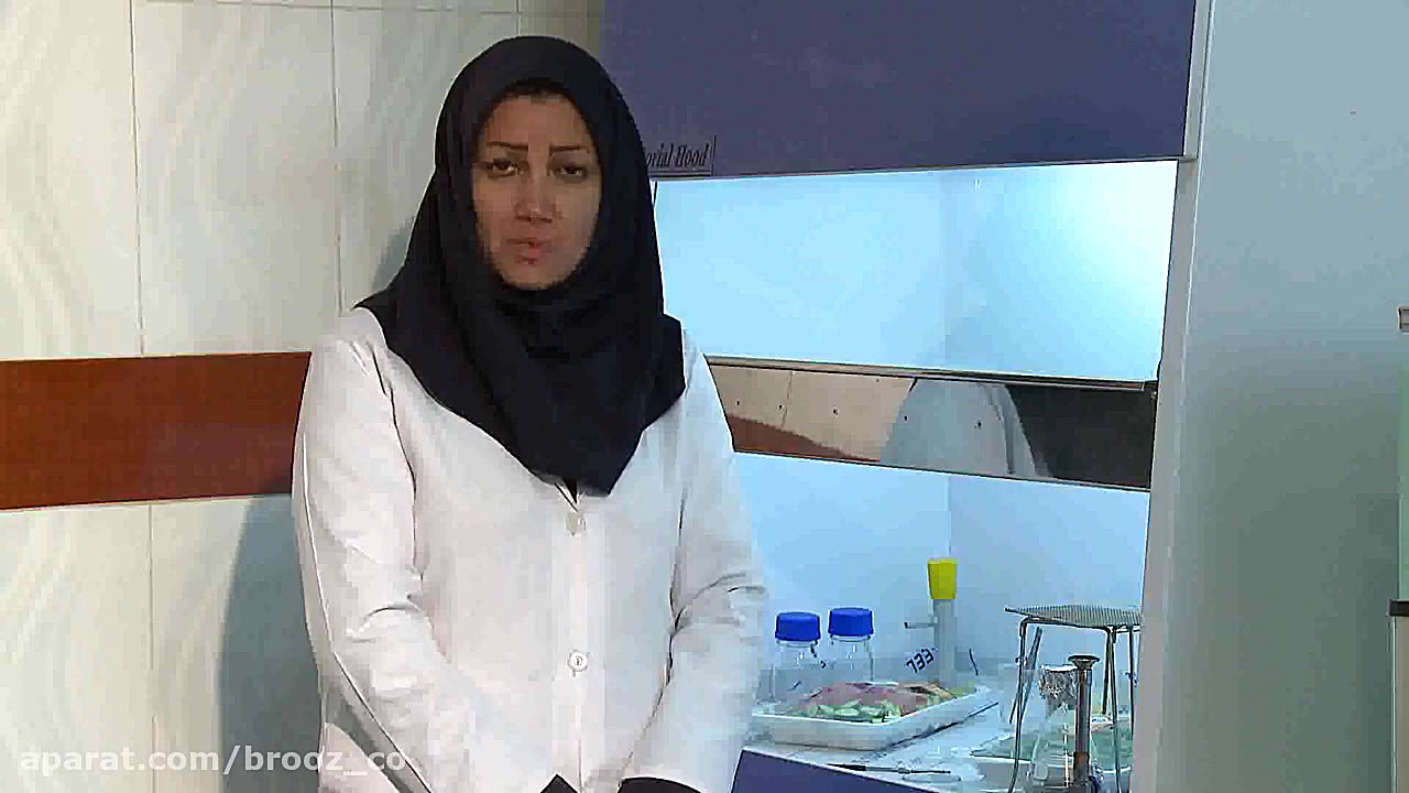 تیزر مجتمع صنایع غذایی بهروز م...