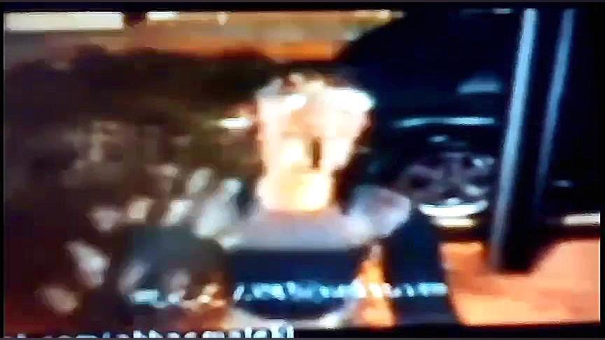 داداش سیا معمولی