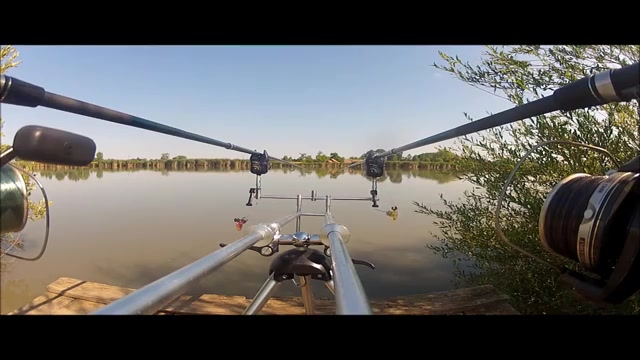 قلقلک کارپیست ها