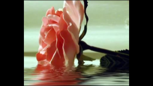 دانلود دکلمه شعر سرسپرده اثر س...