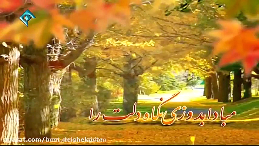 علی فانی یا مهدی